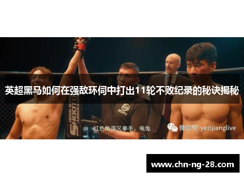英超黑马如何在强敌环伺中打出11轮不败纪录的秘诀揭秘 英超黑马如何在强敌环伺中打出11轮不败纪录的秘诀揭秘