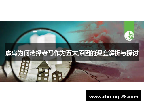 魔鸟为何选择老马作为五大原因的深度解析与探讨