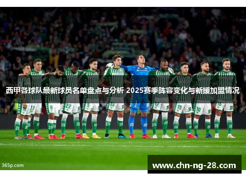 西甲各球队最新球员名单盘点与分析 2025赛季阵容变化与新援加盟情况