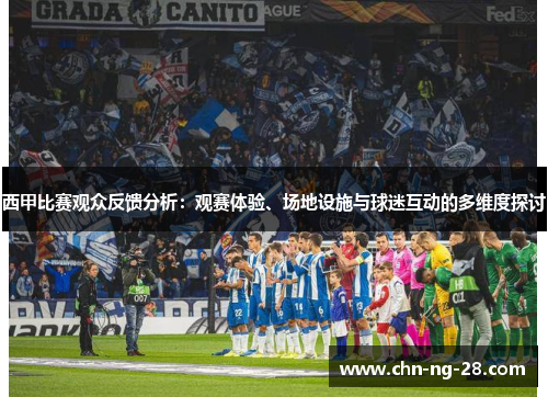西甲比赛观众反馈分析：观赛体验、场地设施与球迷互动的多维度探讨