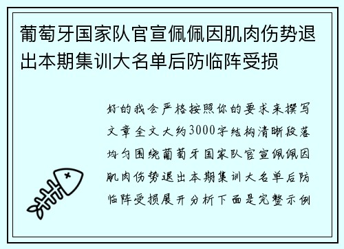 葡萄牙国家队官宣佩佩因肌肉伤势退出本期集训大名单后防临阵受损