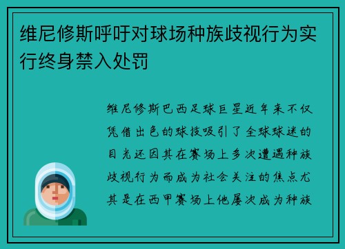 维尼修斯呼吁对球场种族歧视行为实行终身禁入处罚