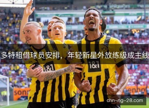 多特租借球员安排，年轻新星外放练级成主线